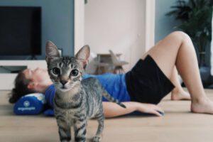 Akupressurmatte Katze